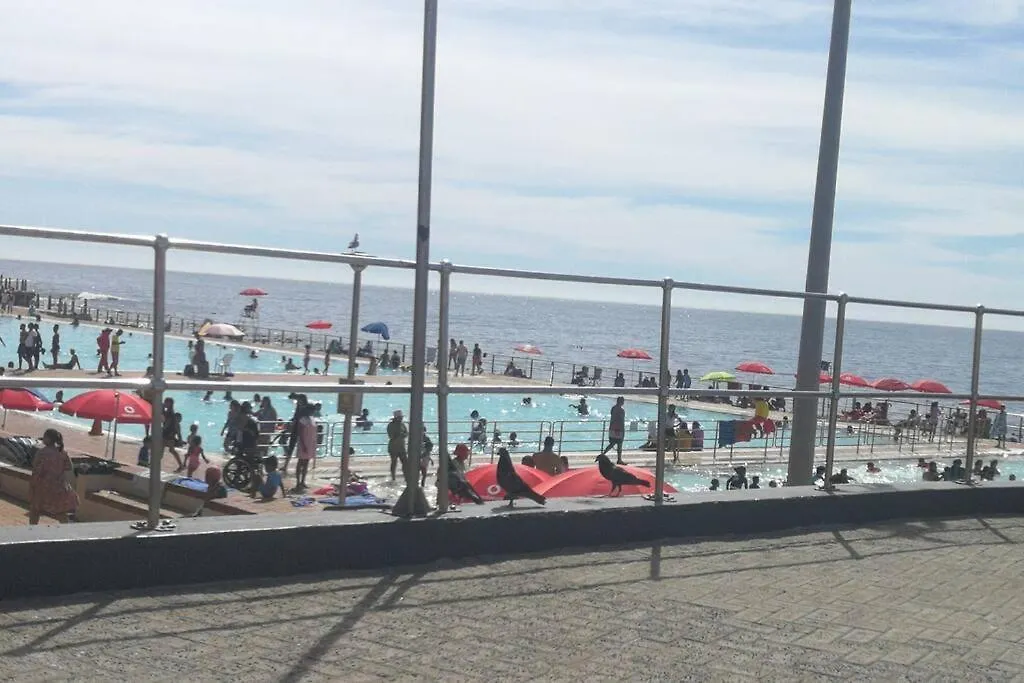 2 Bedroomed Beachfront Apartment Cape Town